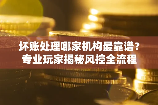 武汉坏账处理哪家机构最靠谱？专业玩家揭秘风控全流程