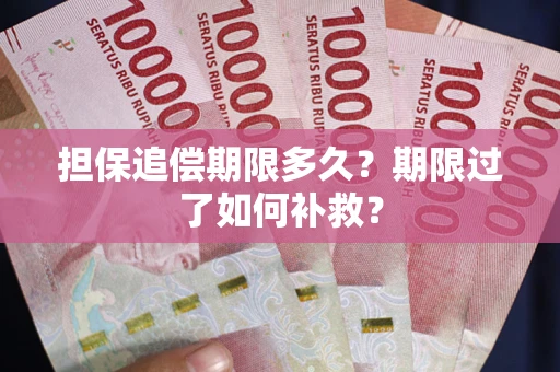 武汉担保追偿期限多久？期限过了如何补救？