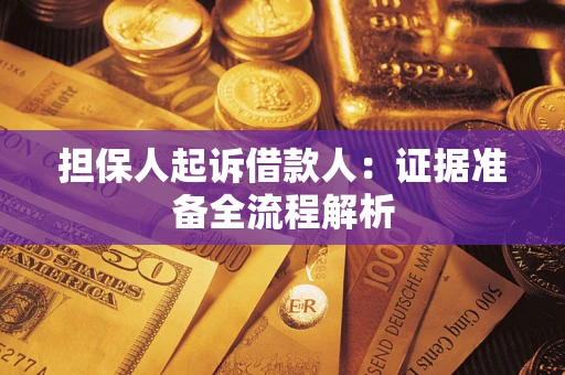 武汉担保人起诉借款人：证据准备全流程解析