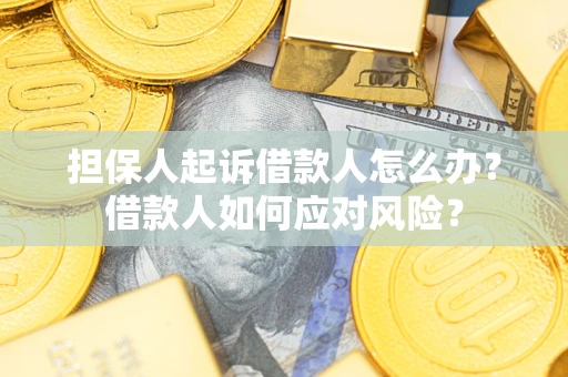 武汉担保人起诉借款人怎么办？借款人如何应对风险？