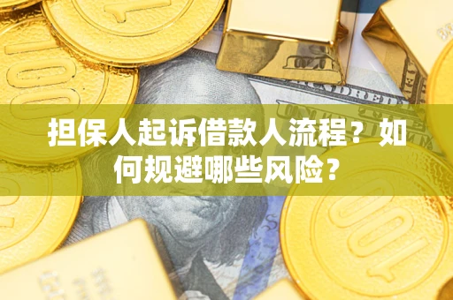武汉担保人起诉借款人流程？如何规避哪些风险？