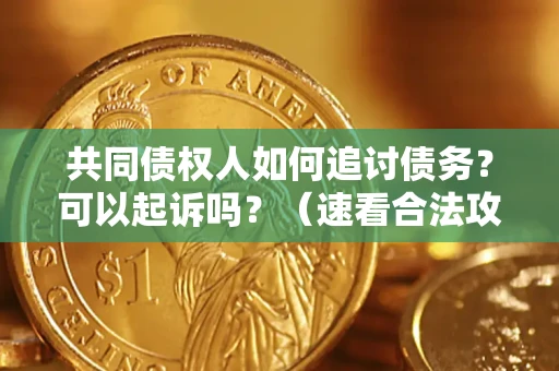 武汉共同债权人如何追讨债务？可以起诉吗？（速看合法攻略）