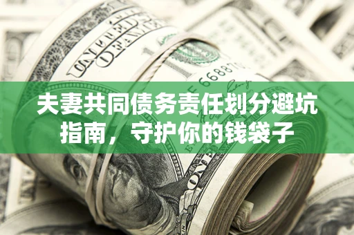 武汉夫妻共同债务责任划分避坑指南，守护你的钱袋子