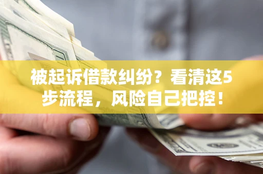 武汉被起诉借款纠纷？看清这5步流程，风险自己把控！