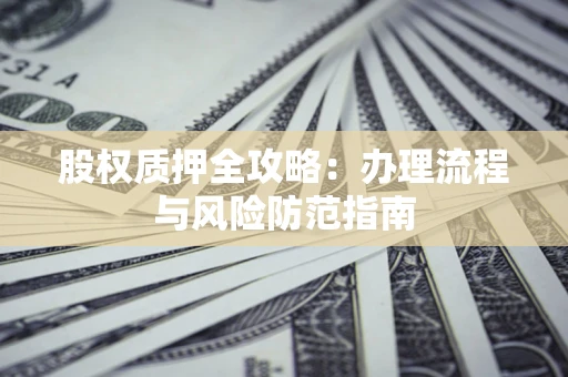 武汉股权质押全攻略：办理流程与风险防范指南